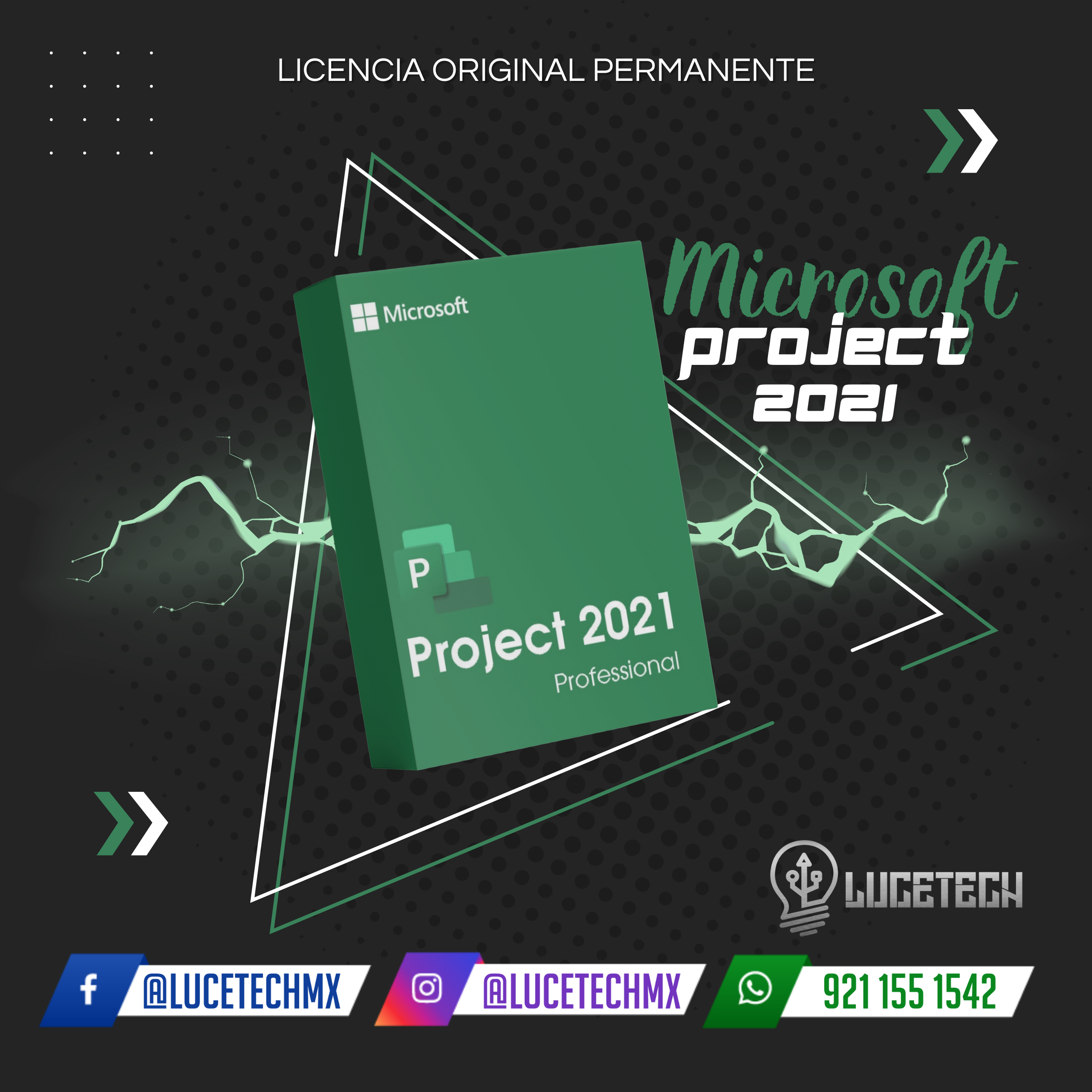 Project Professional 2021