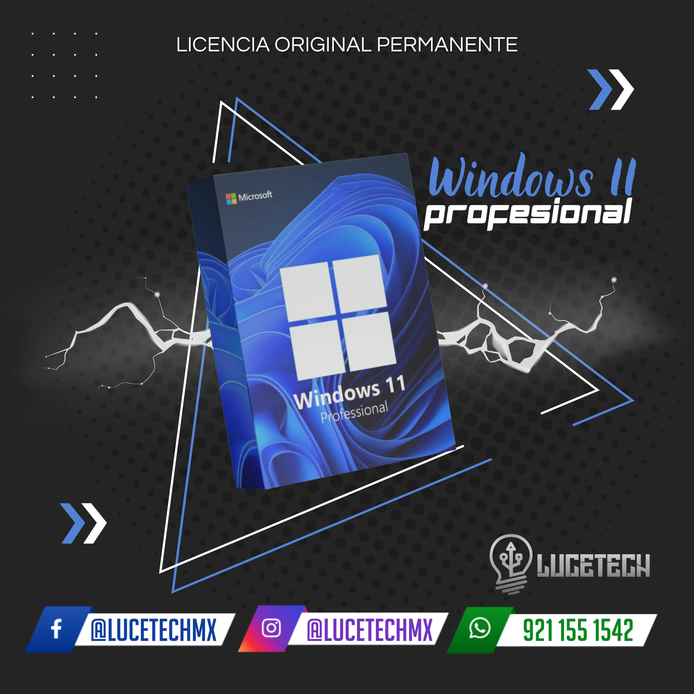 Windows 11 Professional