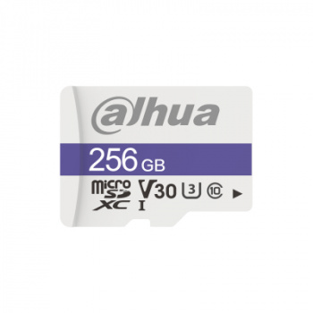 Memoria MicroSD Dahua Technology DHI-TF-C100/256GB 